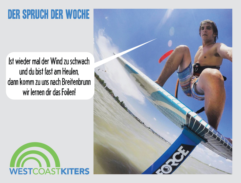 Spruch der Woche