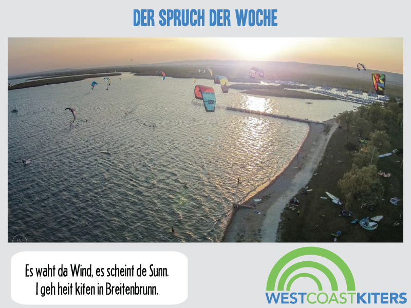 Spruch der Woche